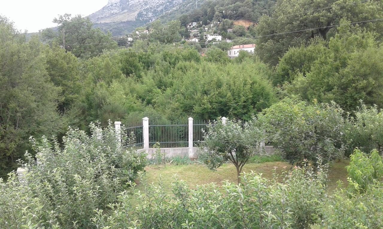 Danijela Apartmani Čanj Exteriör bild