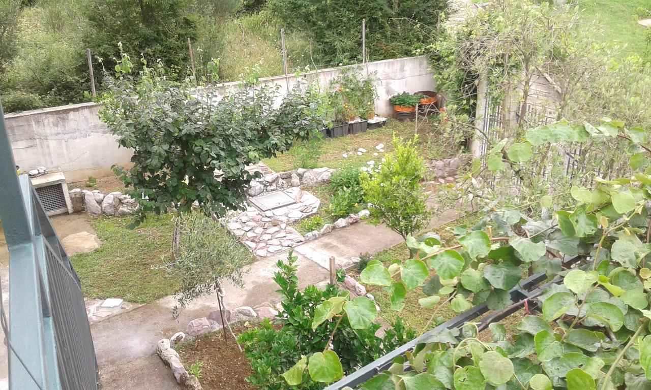 Danijela Apartmani Čanj Exteriör bild